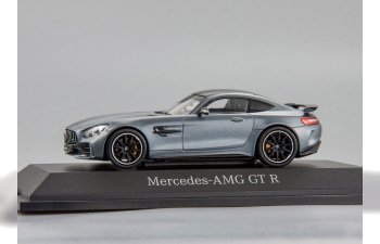 MERCEDES-BENZ AMG GTR Coupe (C190), grey metallic