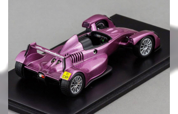 CAPARO T1 open 2008, purple