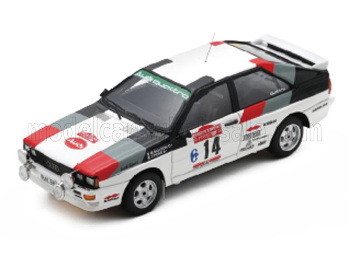 AUDI Quattro (night version) №14 Winner Rally SANREMO (1981) Michele Mouton - Fabrizia Pons 