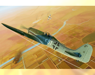 Сборная модель Focke-Wulf Fw 190D-11