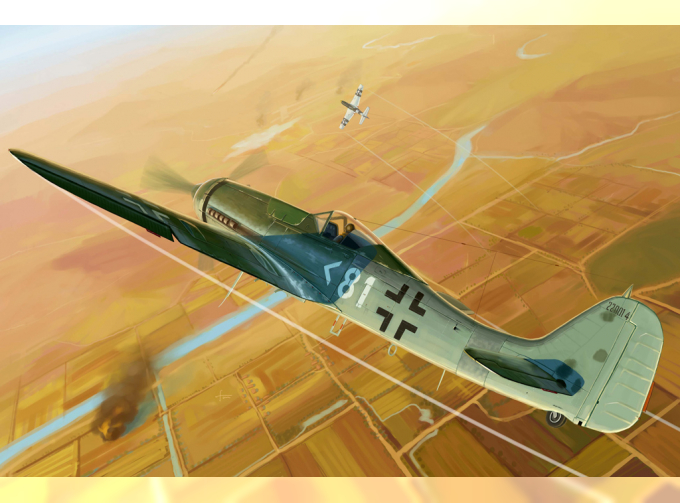 Сборная модель Focke-Wulf Fw 190D-11