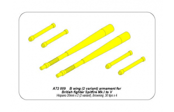 B wing (2 variant) armament for British fighter Spitfire Mk.I to V hispano 20mmx2 (2 variant) Browing 30 tipsx4