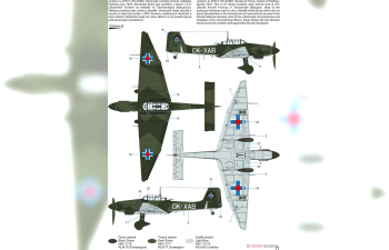 Сборная модель Junkers Ju-87D-5 'Axis Satellites'