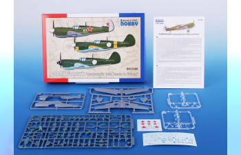 Сборная модель P-40M Warhawk 'Involuntarily From Russia To Finland'