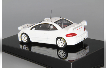 PEUGEOT 307 WRC plain body version, white