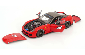 FERRARI 599 XX Version Clienti No 3, red matt-grey