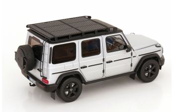 MERCEDES-BENZ G-Class G500 Professional Line 4x4 (W465) (2024), Iridium Silver