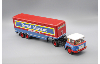 WILLEME LD 610 TBH HORIZON Royal Muscat (1959), blue/red
