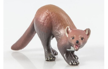 Дикие животные России № 20: Куница