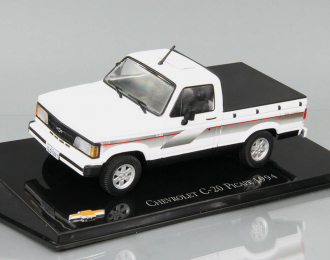 CHEVROLET C-20 Picape (1994), white / grey