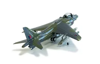 BAE Harrier GR9A ZG506/P77 Ninja 1 RAF Cottesmore Wing (2010)