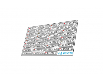 Фототравление номера Белоруссии гражданские цветные