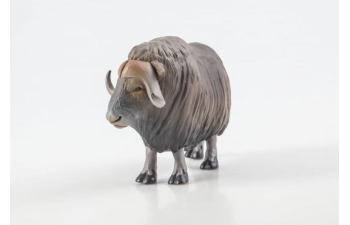 Дикие животные России № 31: Овцебык (только вложение)