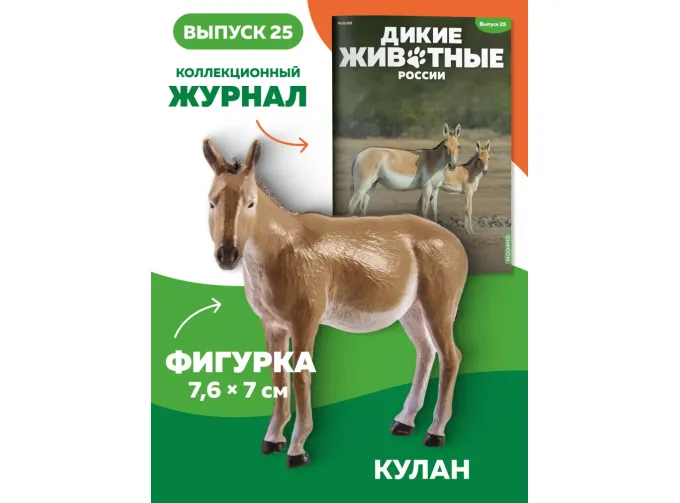 Дикие животные России № 25: Кулан