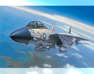Сборная модель F-14A Tomcat