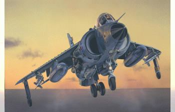 Сборная модель Самолет FRS.1 SEA HARRIER