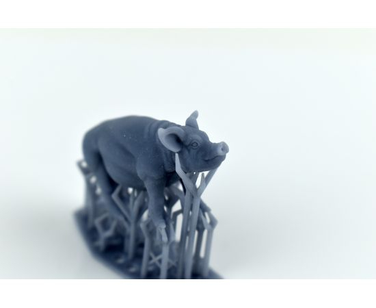 Хрюшка 8 мм, тип 1