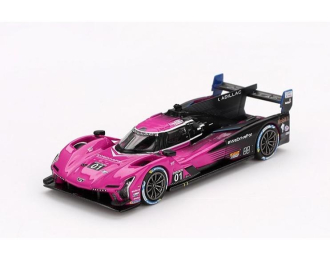 CADILLAC V-Series R #01 IMSA Lemans (2024), pink/black