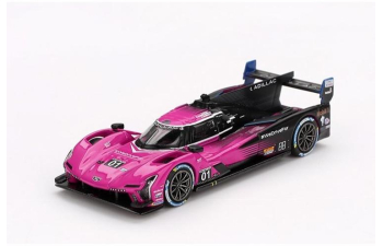 CADILLAC V-Series R #01 IMSA Lemans (2024), pink/black