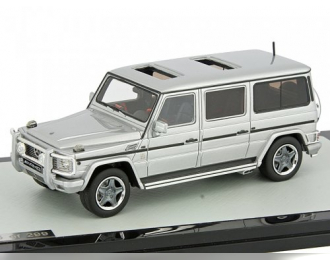 MERCEDES-BENZ G-Class (W463) AMG G63 V12 Lang 2002, Silver