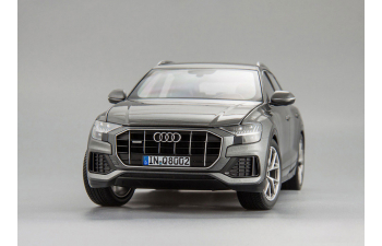 Audi Q8 (grey)