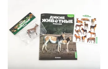 Дикие животные России № 25: Кулан