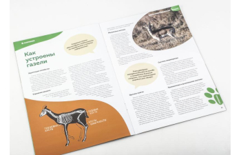 Дикие животные России № 17: Джейран