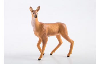 Дикие животные России № 14: Косуля