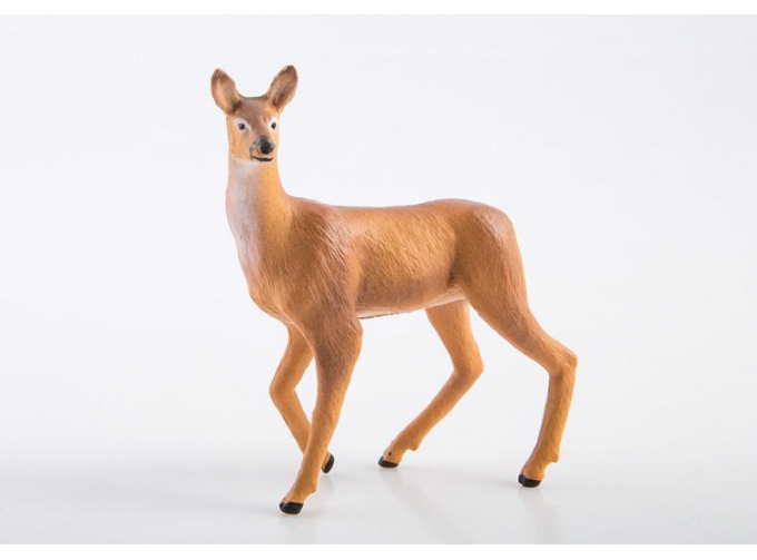 Дикие животные России № 14: Косуля (только вложение)