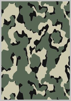 Набор декалей Камуфляж 8 (200х290)