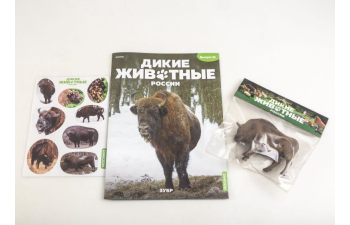 Дикие животные России № 41: Зубр