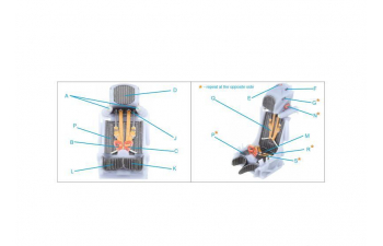 Катапультное кресло К-36ДМ (первых выпусков) (для Су-17/22, Су-24, первых МиГ-29 9-12) все модели