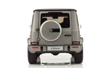 MERCEDES-BENZ W463 G-Klasse W463 II (2018), designo platinum magno