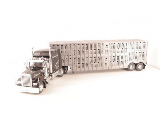 KENWORTH W900 (1991), Semi-Remorque Américains 59