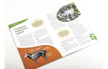 Дикие животные России № 34: Амурский горал