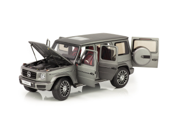 MERCEDES-BENZ W463 G-Klasse W463 II (2018), designo platinum magno