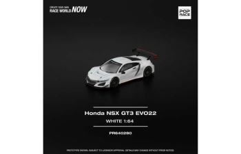 HONDA NSX GT3 EVO22, white