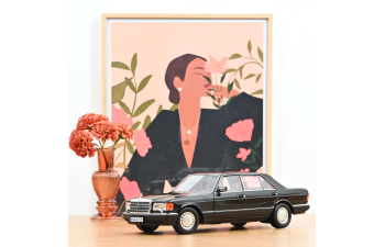 MERCEDES-BENZ 560 SEL (1991), black