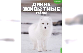 Дикие животные России № 18: Песец