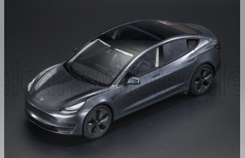 TESLA Model 3 (2021), Midnight Silver Met