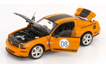 FORD Shelby Mustang Terlingua Racing Team (2008), orange black