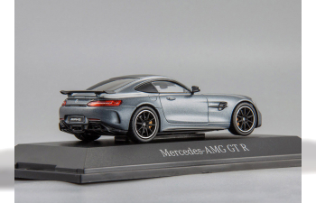 MERCEDES-BENZ AMG GTR Coupe (C190), grey metallic