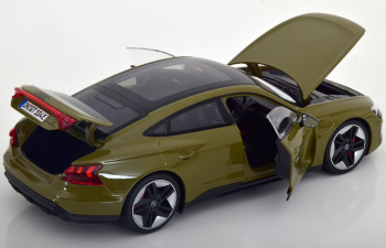 AUDI Gt Rs E-tron (2022), Tactital Green