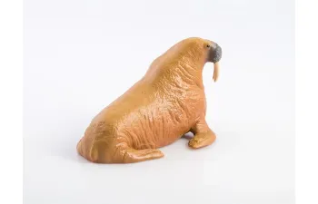 Дикие животные России № 21: Морж