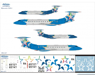 Декаль на самолет тушка-134А-3 (Центр-Юг)