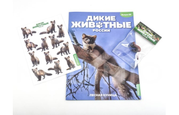 Дикие животные России № 20: Куница