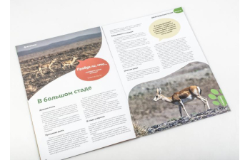 Дикие животные России № 17: Джейран