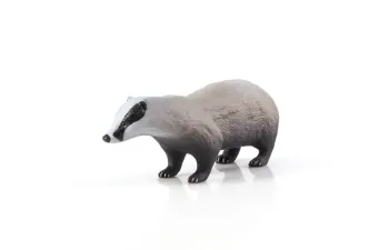 Дикие животные России № 22: Барсук