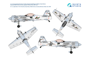 Декаль "Су-31 Вокруг Света ч.1" (с 3D-печатными и стеклопластиковыми деталями)