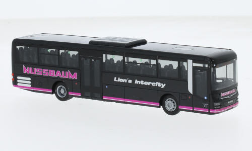 MAN Lion s Interci Nussbaum,